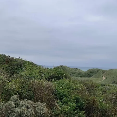 בית נופש 6 Person In Hirtshals-by Traum הירטסהלס